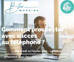 Blue Working - Espace coworking sur le Sud de la Martinique (espace de travail, salle de réunion)