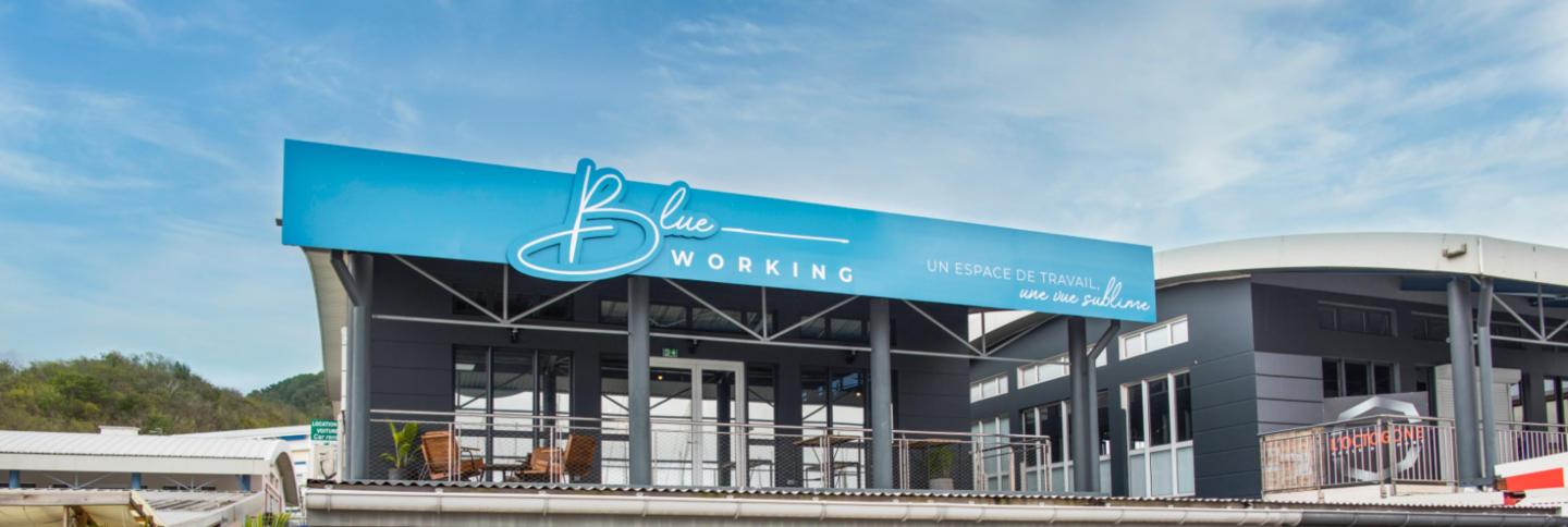 Blue Working - Espace coworking sur le Sud de la Martinique (espace de travail)