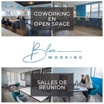 Blue Working - Espace coworking sur le Sud de la Martinique (espace de travail, salle de réunion)